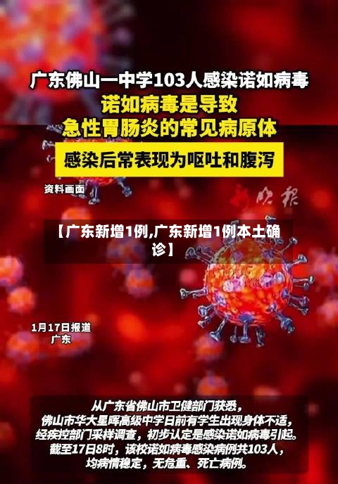 【广东新增1例,广东新增1例本土确诊】