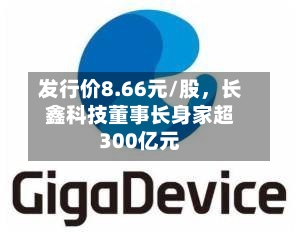 发行价8.66元/股，长鑫科技董事长身家超300亿元-第2张图片