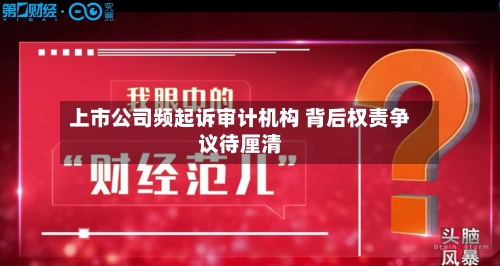 上市公司频起诉审计机构 背后权责争议待厘清
