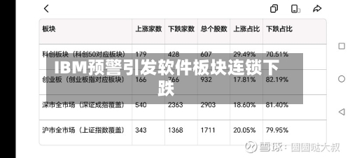 IBM预警引发软件板块连锁下跌