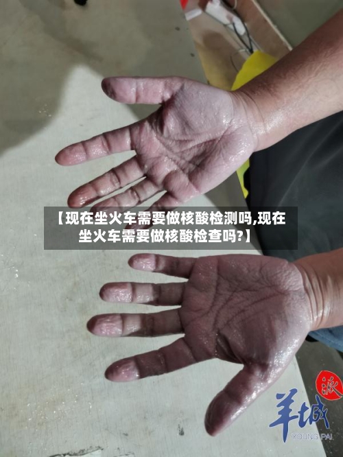 【现在坐火车需要做核酸检测吗,现在坐火车需要做核酸检查吗?】-第2张图片