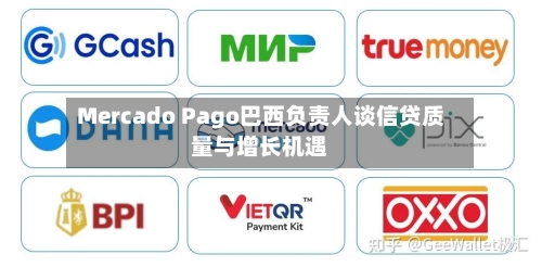 Mercado Pago巴西负责人谈信贷质量与增长机遇-第2张图片