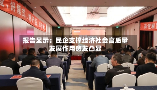 报告显示：民企支撑经济社会高质量发展作用愈发凸显-第2张图片