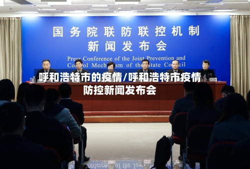 呼和浩特市的疫情/呼和浩特市疫情防控新闻发布会