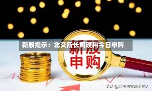 新股提示：北交所长鹰硬科今日申购-第2张图片