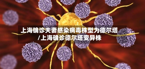 上海确诊夫妻感染病毒株型为德尔塔/上海确诊德尔塔变异株-第3张图片