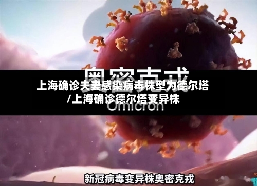 上海确诊夫妻感染病毒株型为德尔塔/上海确诊德尔塔变异株-第2张图片