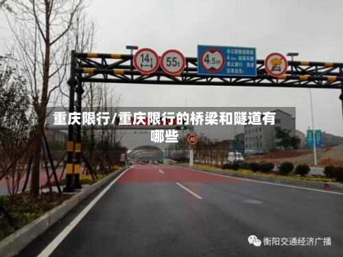 重庆限行/重庆限行的桥梁和隧道有哪些-第3张图片