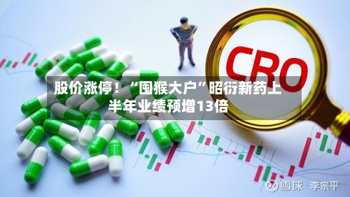 股价涨停！“囤猴大户”昭衍新药上半年业绩预增13倍-第2张图片