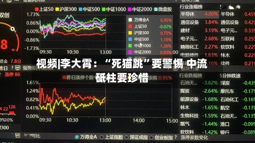 视频|李大霄：“死猫跳”要警惕 中流砥柱要珍惜