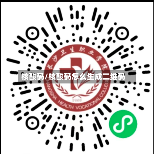 核酸码/核酸码怎么生成二维码