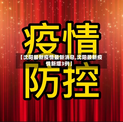 【沈阳最新疫情最新消息,沈阳最新疫情新增3例】-第2张图片