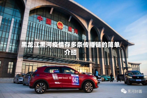 黑龙江黑河疫情存多条传播链的简单介绍