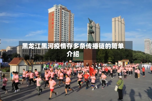 黑龙江黑河疫情存多条传播链的简单介绍-第2张图片