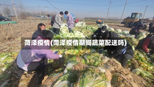 菏泽疫情(菏泽疫情期间蔬菜配送吗)-第3张图片