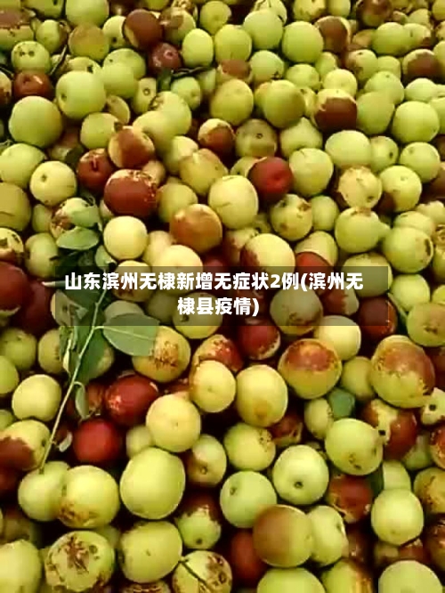 山东滨州无棣新增无症状2例(滨州无棣县疫情)-第3张图片