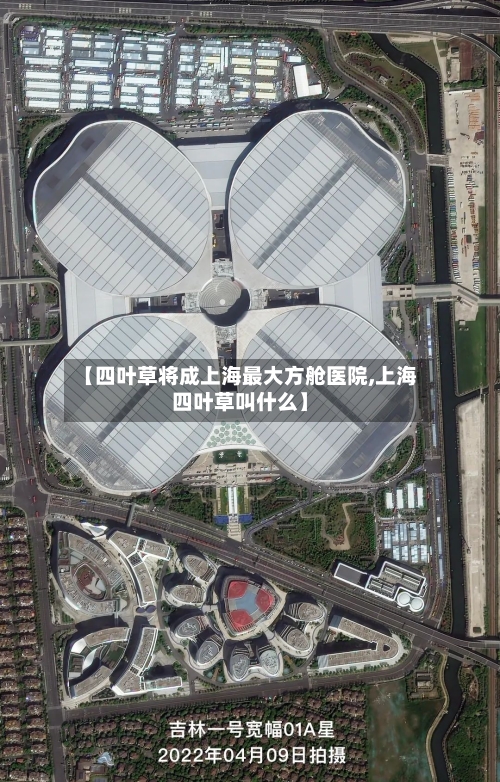 【四叶草将成上海最大方舱医院,上海四叶草叫什么】