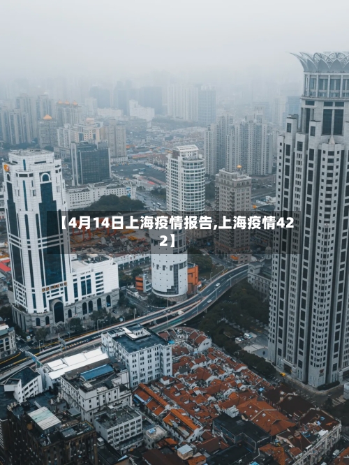 【4月14日上海疫情报告,上海疫情422】-第3张图片