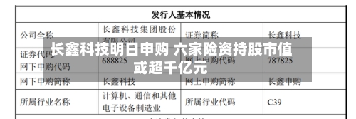 长鑫科技明日申购 六家险资持股市值或超千亿元