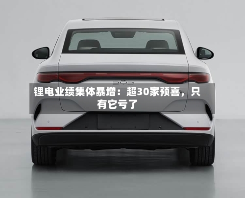 锂电业绩集体暴增：超30家预喜，只有它亏了-第2张图片