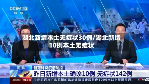 湖北新增本土无症状30例/湖北新增10例本土无症状