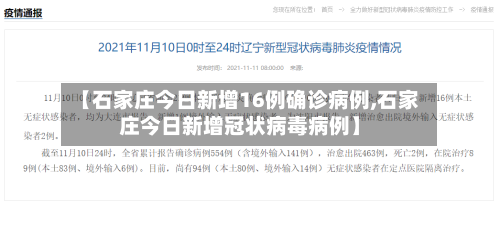 【石家庄今日新增16例确诊病例,石家庄今日新增冠状病毒病例】-第2张图片
