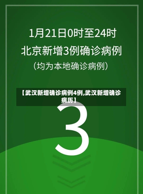 【武汉新增确诊病例4例,武汉新增确诊病历】-第2张图片