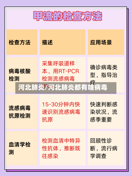河北肺炎/河北肺炎都有啥病毒-第2张图片