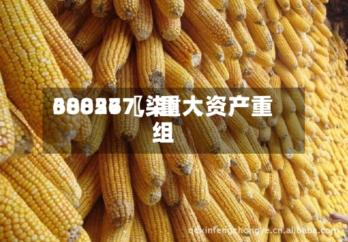 68827〖柒〗、300567	，重大资产重组-第2张图片