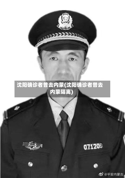 沈阳确诊者曾去内蒙(沈阳确诊者曾去内蒙隔离)-第2张图片