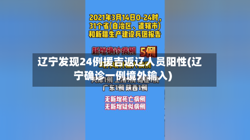辽宁发现24例援吉返辽人员阳性(辽宁确诊一例境外输入)-第2张图片