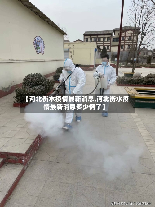 【河北衡水疫情最新消息,河北衡水疫情最新消息多少例了】-第2张图片