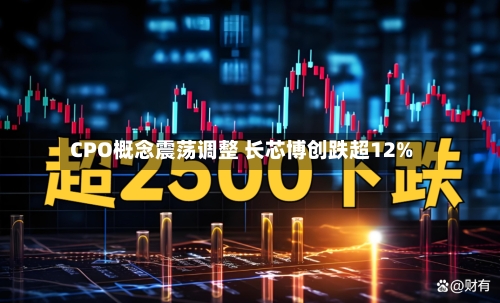 CPO概念震荡调整 长芯博创跌超12%