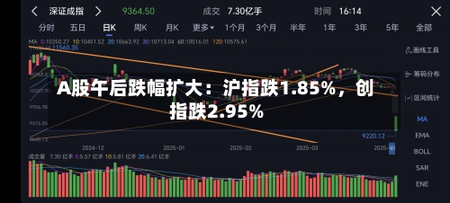 A股午后跌幅扩大：沪指跌1.85%，创指跌2.95%-第2张图片