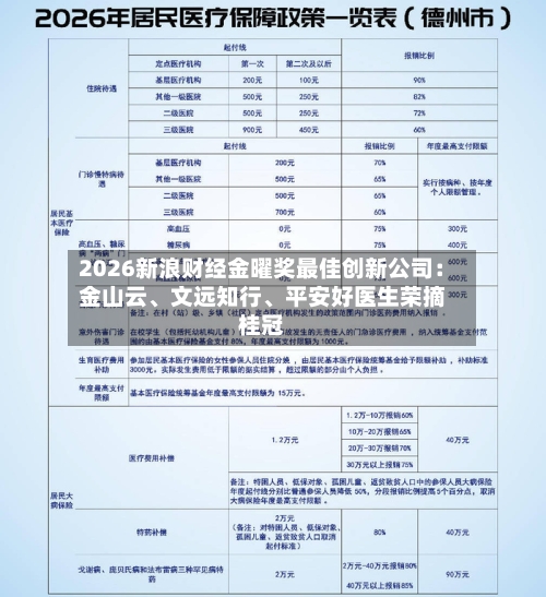 2026新浪财经金曜奖最佳创新公司：金山云、文远知行、平安好医生荣摘桂冠