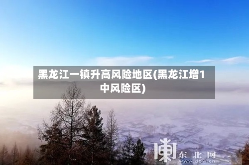 黑龙江一镇升高风险地区(黑龙江增1中风险区)
