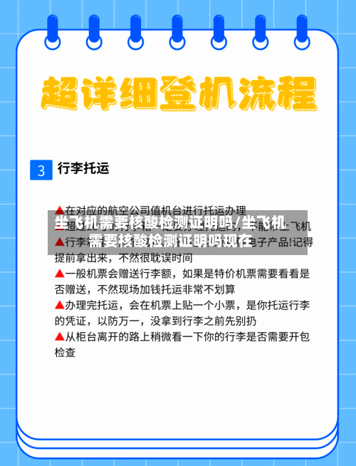 坐飞机需要核酸检测证明吗/坐飞机需要核酸检测证明吗现在-第2张图片