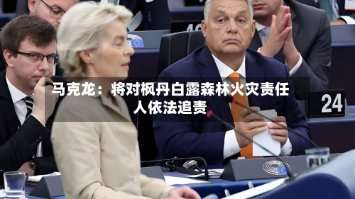 马克龙：将对枫丹白露森林火灾责任人依法追责