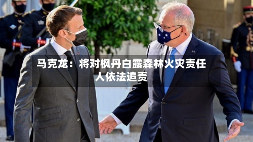 马克龙：将对枫丹白露森林火灾责任人依法追责-第2张图片