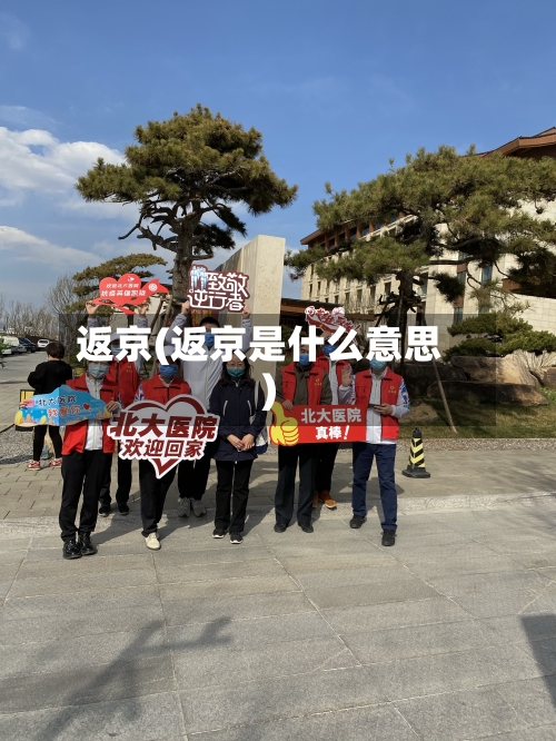 返京(返京是什么意思)
