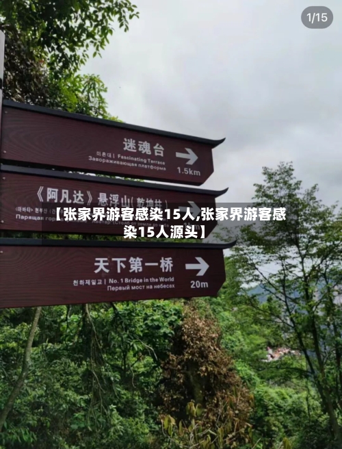【张家界游客感染15人,张家界游客感染15人源头】-第2张图片
