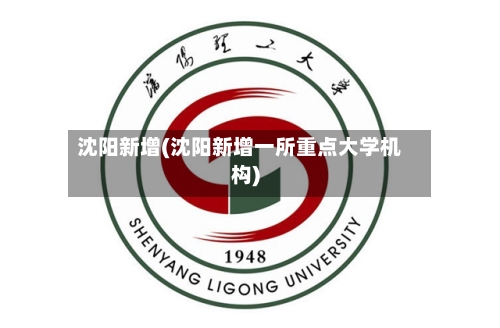 沈阳新增(沈阳新增一所重点大学机构)-第2张图片