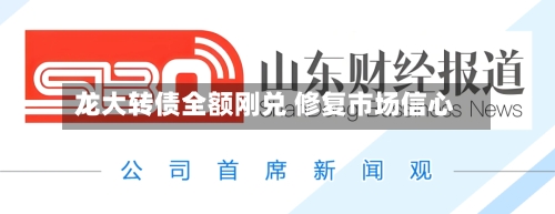 龙大转债全额刚兑 修复市场信心-第2张图片