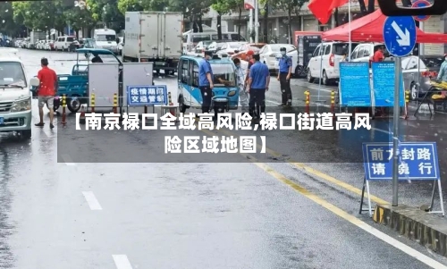 【南京禄口全域高风险,禄口街道高风险区域地图】-第2张图片