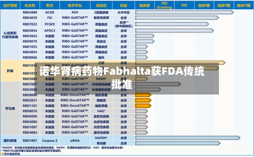 诺华肾病药物Fabhalta获FDA传统批准
