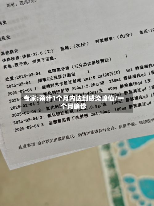 专家:预计1个月内达到感染峰值/一个月确诊-第2张图片