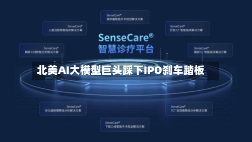 北美AI大模型巨头踩下IPO刹车踏板
