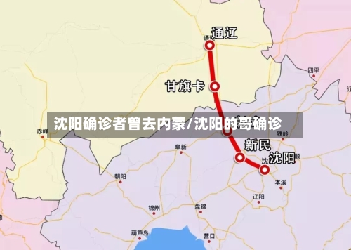 沈阳确诊者曾去内蒙/沈阳的哥确诊