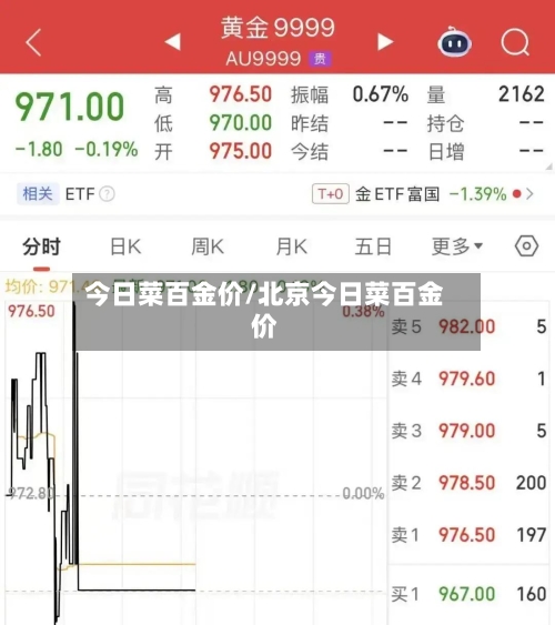 今日菜百金价/北京今日菜百金价