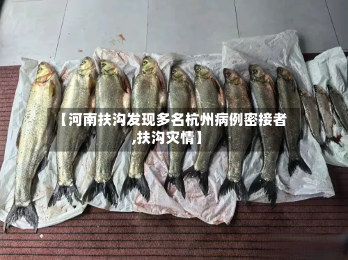 【河南扶沟发现多名杭州病例密接者,扶沟灾情】-第2张图片